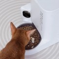 Petkit YumShare Solo