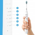 Maltec Toothie X1