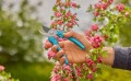 GARDENA EasyCut 12230-20