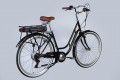 Dorozhnik eRetro Vbr FR 500W 2025