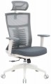 OfficePro Balance OC550