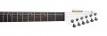 Mooer MMT100