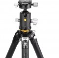 Vanguard VEO 5 304AB-250S