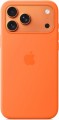 Apple Silicone Case with MagSafe for iPhone 17 Pro Max