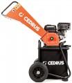 Cedrus RB01C