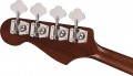 Fender Kingman Bass