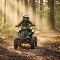 Forte ATV800NE