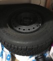 Goodyear Nordic