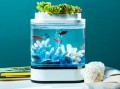 Xiaomi Geometry Mini Lazy Fish Tank