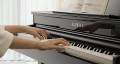 Kawai DG30