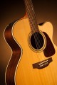 Takamine P5JC