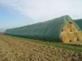 Bradas Tent 4x6m 90g