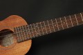 Takamine EGUT1