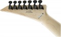 Jackson Pro Series Signature Dave Davidson Warrior WR7