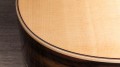 Taylor 811e