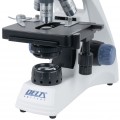 DELTA optical Genetic Bino