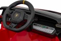 Pilot Lamborghini Invencible