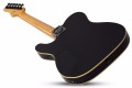 Schecter PT