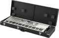 Korg Wavestate SE Platinum