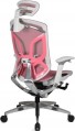 GT Chair Dvary X