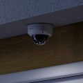 Reolink P437
