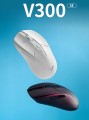 Rapoo V300 SE