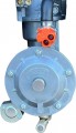 FELISATTI GBG-9500EK F99502