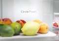Candy ECN 2CQTEB 186