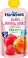Hamanek Fruit Puree 6 100