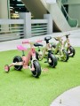 Best Trike BT-16530