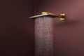 Hansgrohe Raindance Alive Q 340 24530000