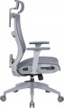 OfficePro Balance OC620