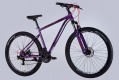 Discovery Trek DD 29 2025 frame 16