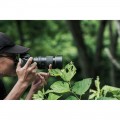 Sony 100mm f/2.8 GM FE Macro