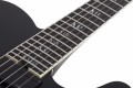 Schecter PT SLS Elite Evil Twin