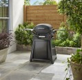 Weber Q1100N