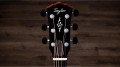 Taylor Gold Label 810e