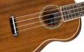 Fender Zuma Concert Uke
