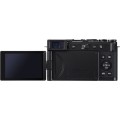 Panasonic DC-L10