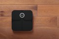 Fitbit FB201B