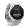 Garmin Fenix 5