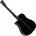Tanglewood TW5
