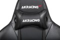 AKRacing Premium V2