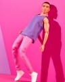 Barbie Ken Looks HJW84