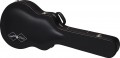 Epiphone J-180 LS