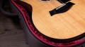 Taylor 254ce Plus