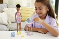 Barbie Skipper Babysitters Inc. HTK34