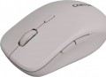 Canyon CNS-CMSW12