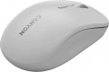 Canyon CNS-CMSW12