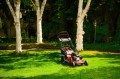 Cedrus KS56S-H